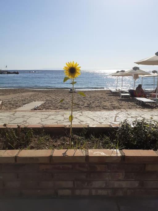 Stoupa Beachside Retro Apartment Luaran gambar
